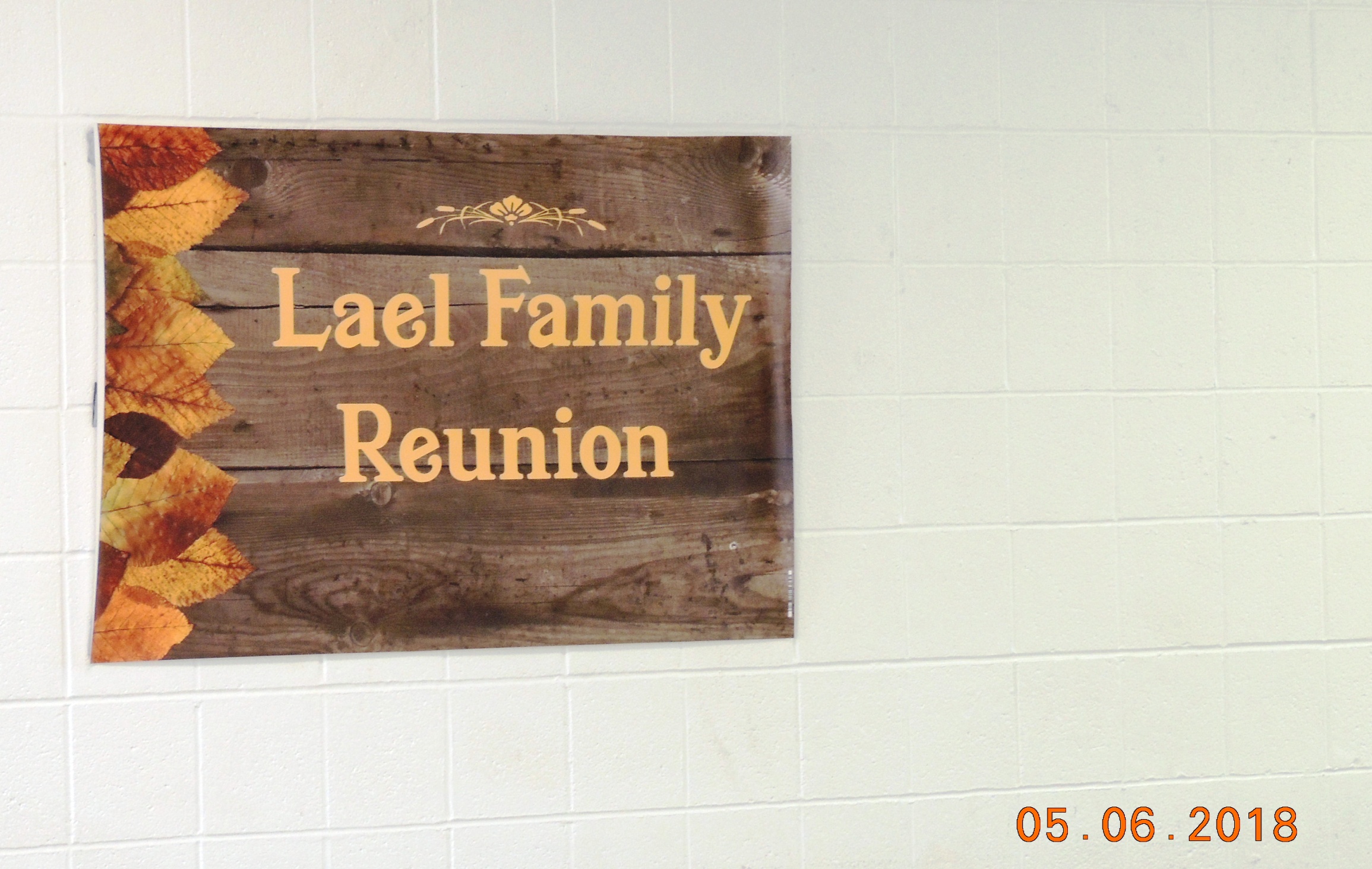 Lael Reunion Banner